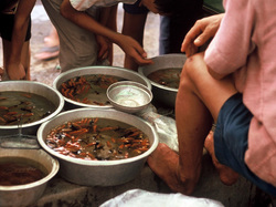  <a style='color: #fff;' href='/uploaded/photo/chine-5be2a7c70709d.jpg'>(Télécharger)</a>